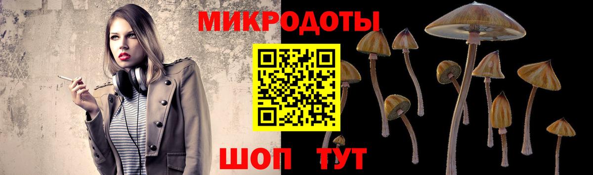 Тамбов  Галлюциногенные грибы ЛСД  Галлюциногенные грибы MAGIC MUSHROOMS  сколько стоит  Вход с VPN 