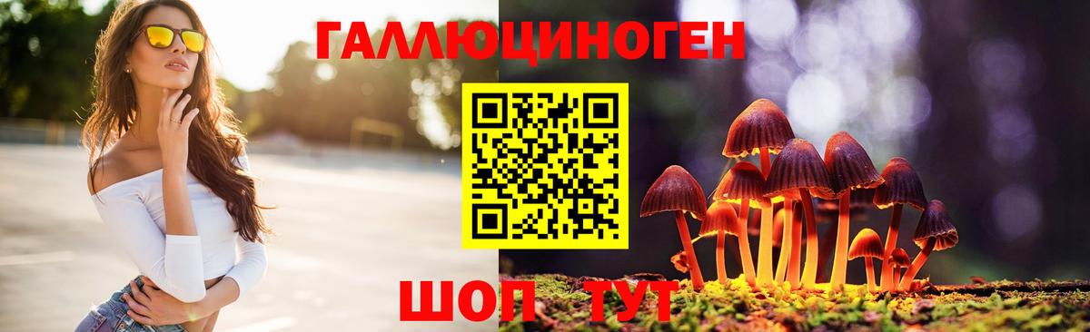 Галлюциногенные грибы GOLDEN TEACHER Тамбов